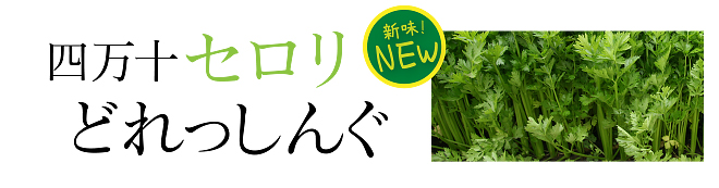 四万十セロリどれっしんぐ