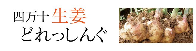 四万十生姜どれっしんぐ